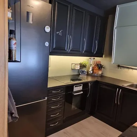 Apartamento Vidjeveien Galehus F *